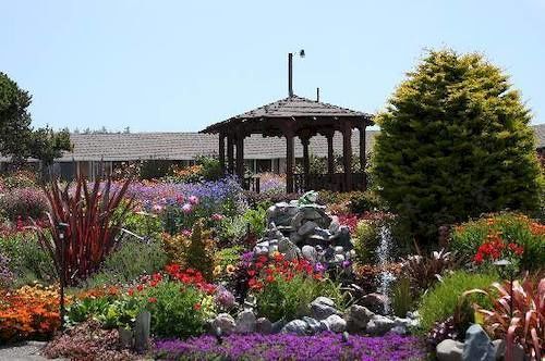 Surf Motel And Gardens Fort Bragg Exterior foto